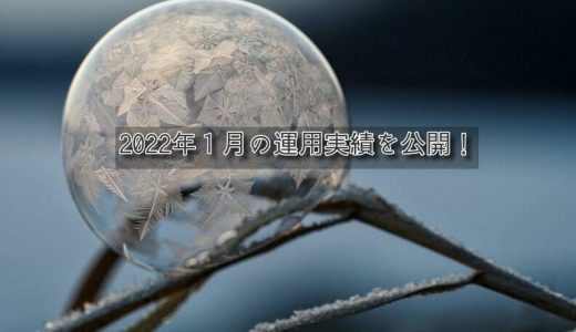 【トラリピ&トライオートETF】2022年1月の利益【FIRE進捗】