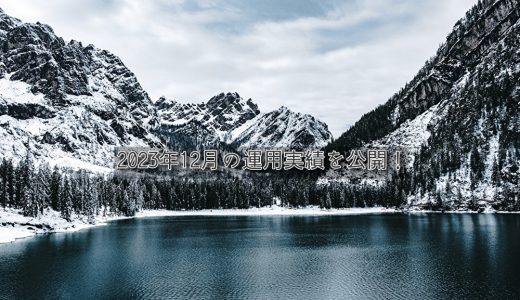 【トラリピ】2023年12月の利益【FIRE進捗】