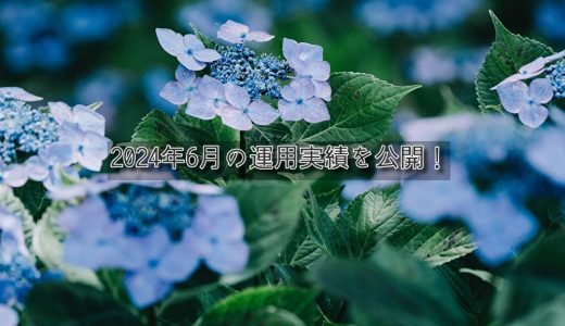 【トラリピ】2024年6月の利益【FIRE進捗】