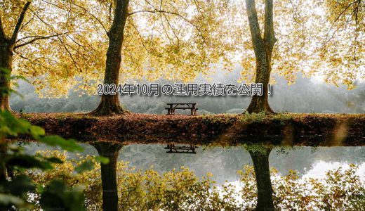 【トラリピ】2024年10月の利益【FIRE進捗】