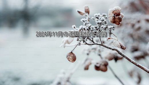 【トラリピ】2024年11月の利益【FIRE進捗】