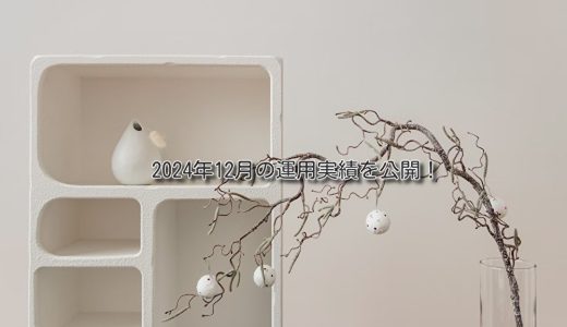 【トラリピ】2024年12月の利益【FIRE進捗】