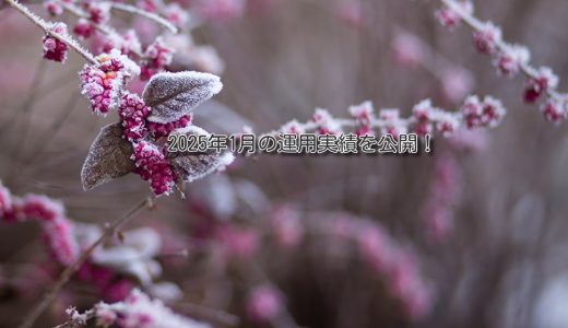 【トラリピ】2025年1月の利益【FIRE進捗】