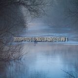 【トラリピ】2025年2月の利益【FIRE進捗】