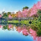 【トラリピ】2025年4月の利益【FIRE進捗】